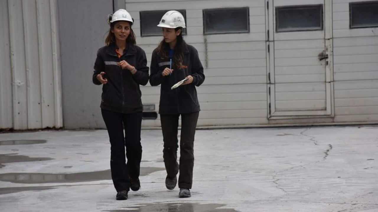 İşe alım verileri bölgesel istihdam politikalarına ışık tutuyor